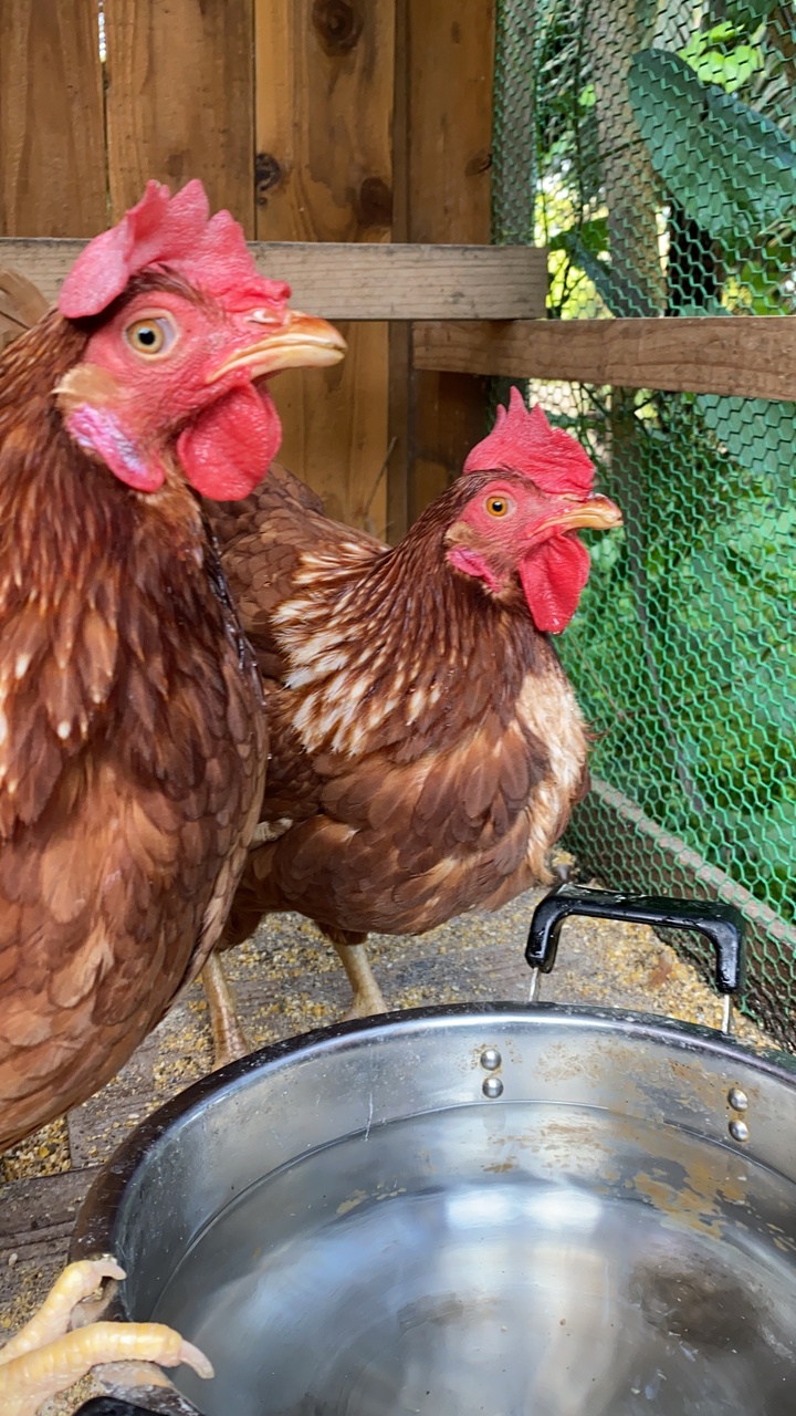 海と畑の自然とあそぼう！