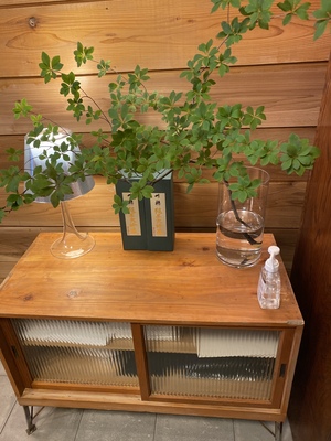 すし　あかさか　予約