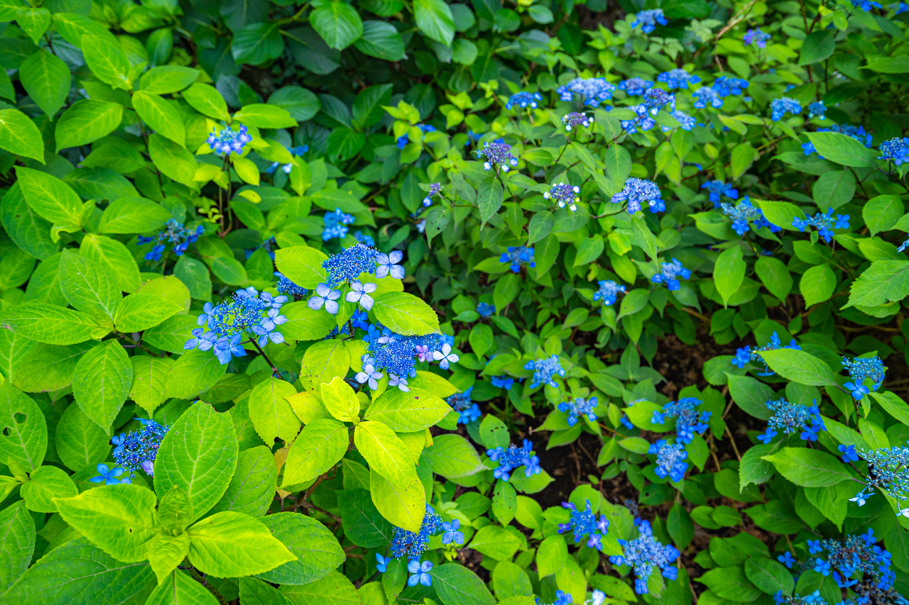 YOSHIの出張撮影の予約受付ページはこちら