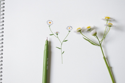 星燈社・山本 星「星燈社と描く、野花のイラスト」