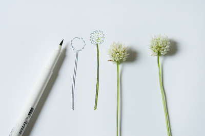 星燈社・山本 星「星燈社と描く、野花のイラスト」