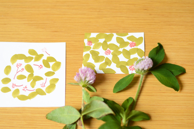 星燈社・山本 星「星燈社と描く、野花のイラスト」