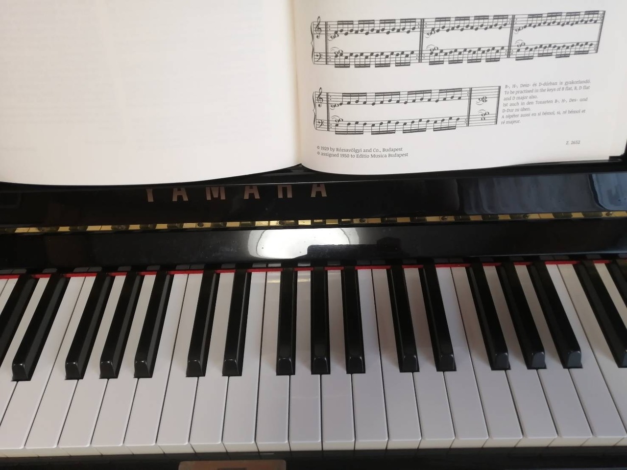 忙しい大人のための月3回レッスン（30分）