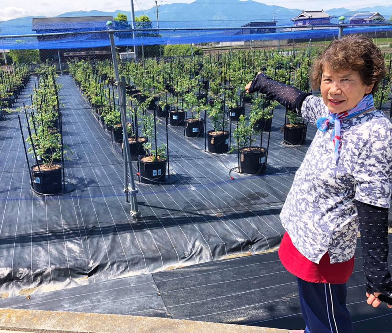 「フルーツツーリズム」体験