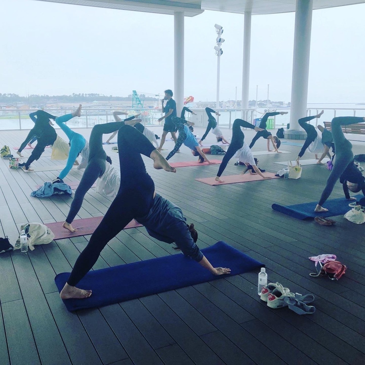 日曜の朝からアニマル