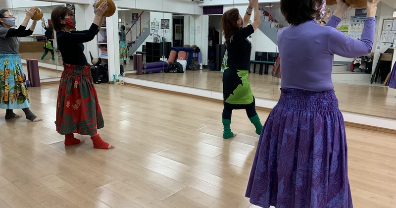 ハワイアンフラ 入門コース