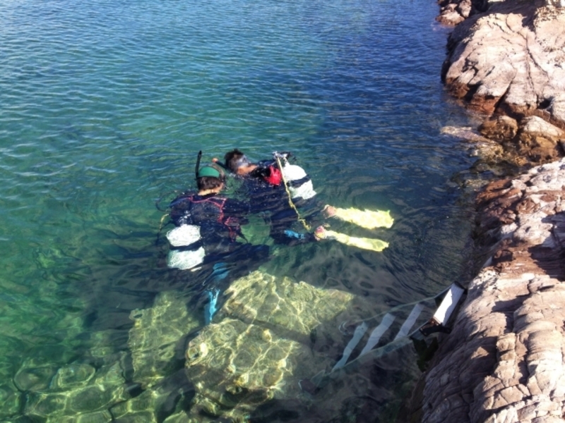 東/西伊豆 ダイビングライセンス取得