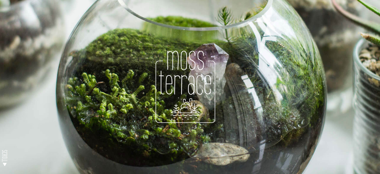 mossterraceオンライン講習会（初心者編）