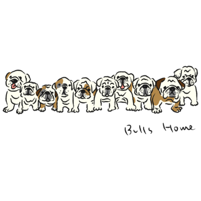 BullsHome犬舎　ご見学予約フォーム