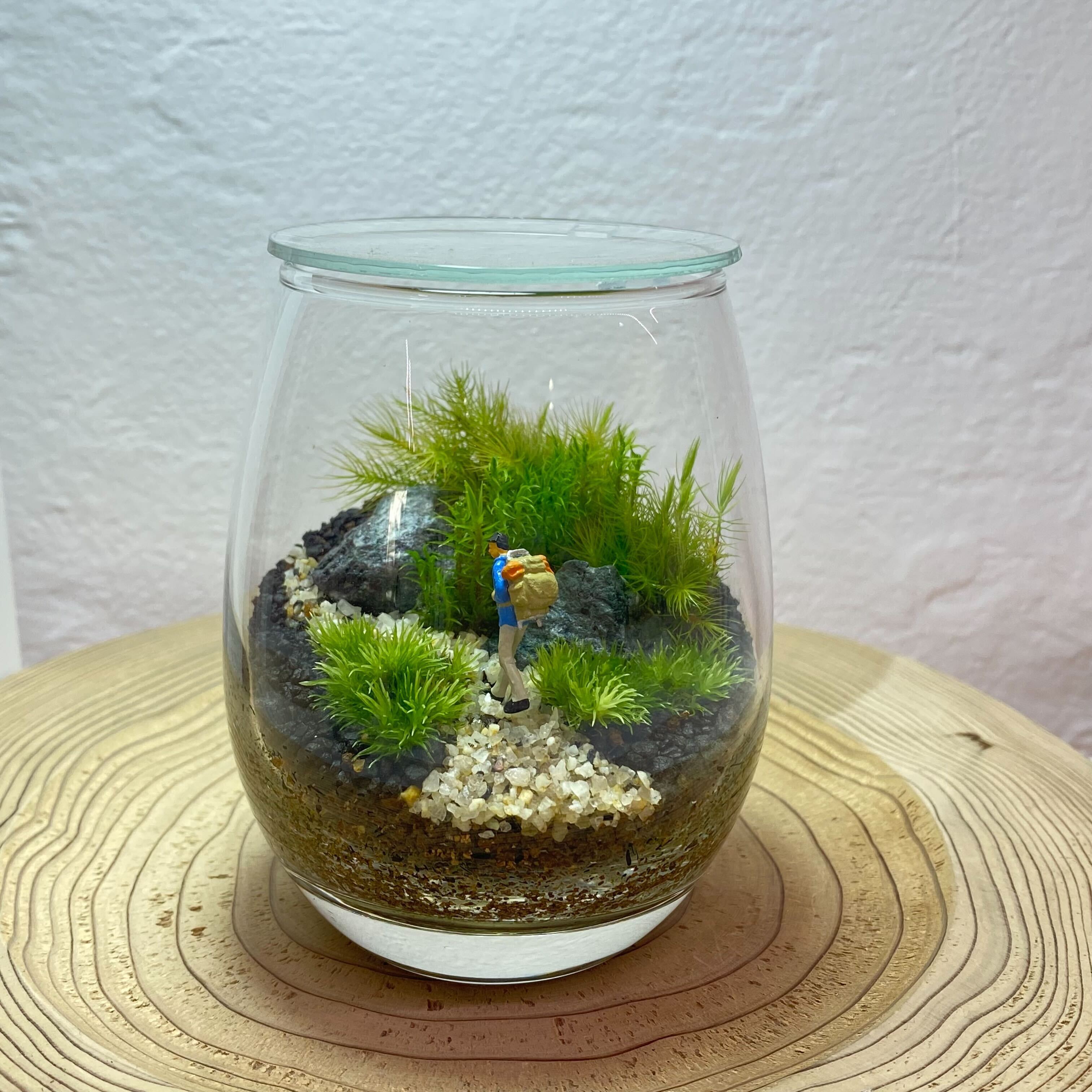 後楽園】基礎編：インテリアに映える苔テラリウムワークショップ