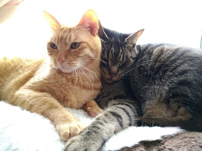 美容室の予約、受付は、こちら