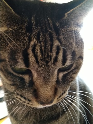 美容室の予約、受付は、こちら