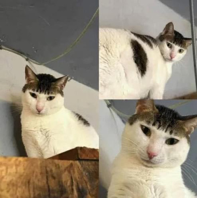 美容室の予約、受付は、こちら