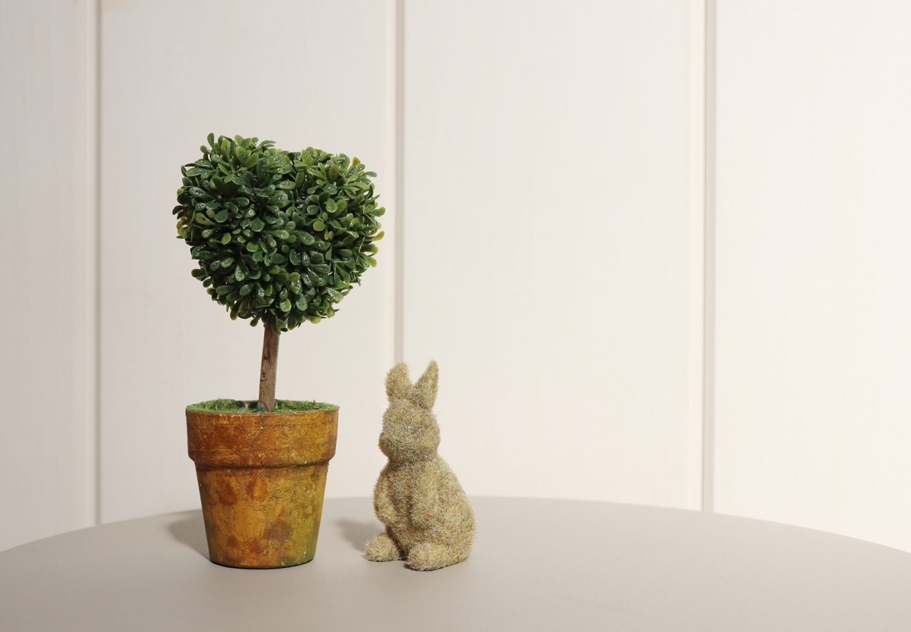 【北区王子】バレンタインワークショップ～ハートのトピアリー～｜2021年2月11日(木祝)