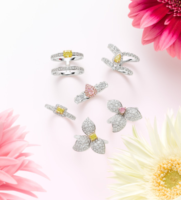 来店予約【チェルシーインターナショナル青山店】