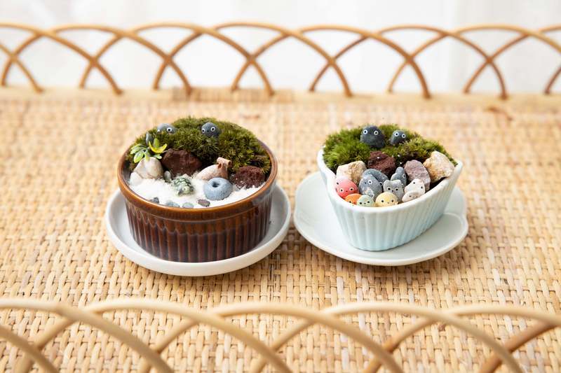 横浜港北】春の新緑マルシェ-苔庭(盆栽)つくり-｜2021年3月20日(土)