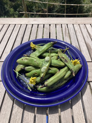 自然生（じねんじょう）の収穫・調理体験
