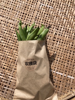 自然生（じねんじょう）の収穫・調理体験