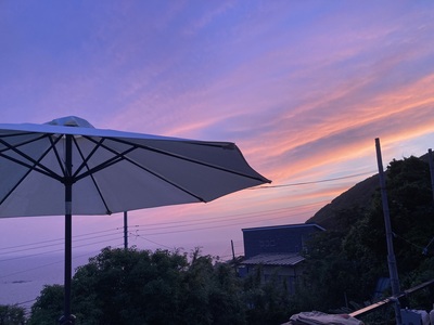 自然生（じねんじょう）の収穫・調理体験