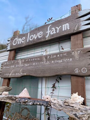 自然生（じねんじょう）の収穫・調理体験