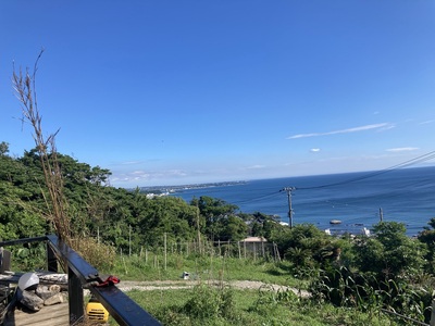 自然生（じねんじょう）の収穫・調理体験