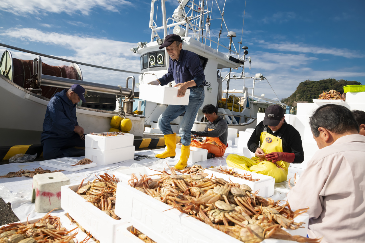 大宮・漁解禁直後！「越前がに」をプロファイルする！