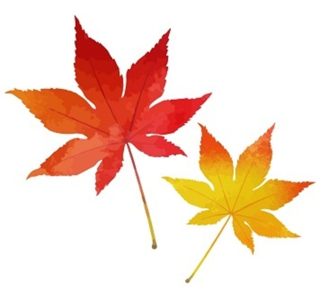 【ワ】帯状疱疹ワクチン（シングリックス）