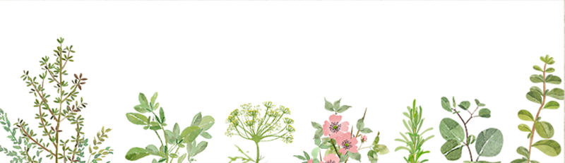 女性向け出張型 鍼灸アロマサロン ツボラートウキョウ