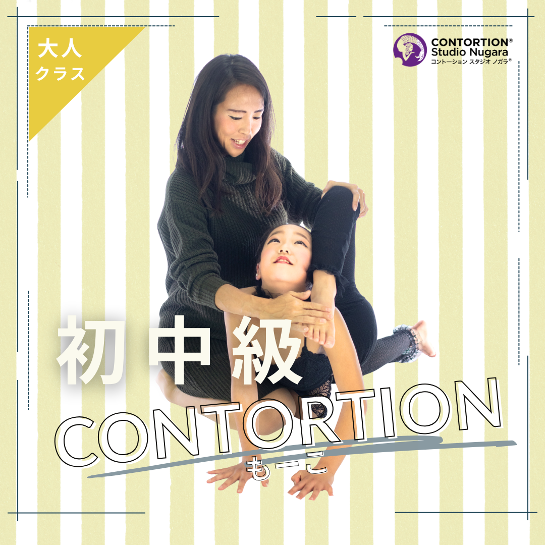 ［会員］大人・初中級クラス＜120分＞ / もーこ先生 / Contortion