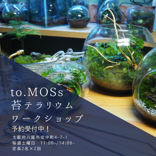 to.MOSs 苔テラリウムワークショップ