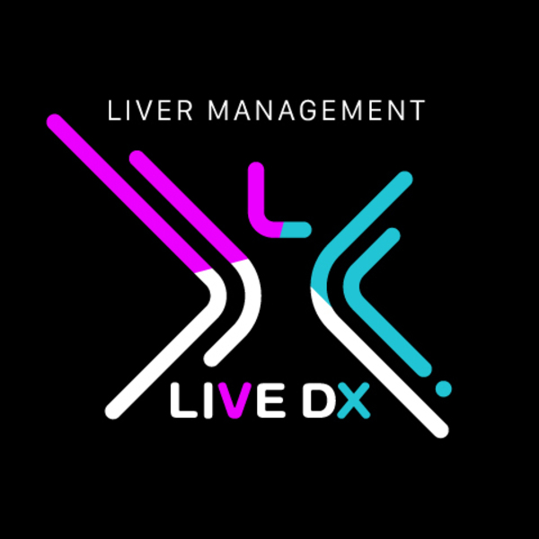 LIVE DXライバー面談