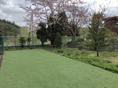 ペットのお預かり予約1