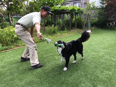 ペットのお預かり予約1