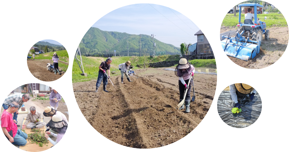 モケ様　予約分　魚沼事前 JR只見線 小出駅から行く！市内一望！見晴らしウォーキング