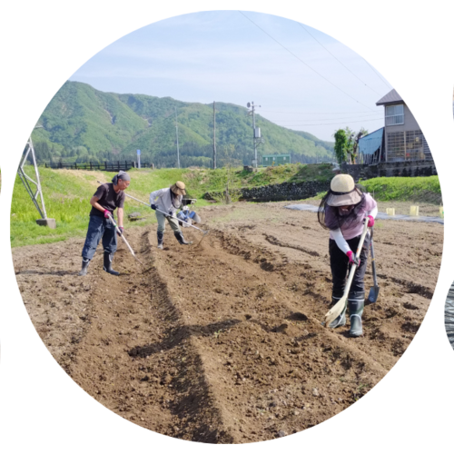 Y.R様　予約分 魚沼事前 公式】気仙沼の観光情報サイト｜気仙沼さ来てけらいん
