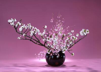 【草月CLASS】初心者から丁寧に、最速で学ぶ。～カジュアルな華道CLASS～