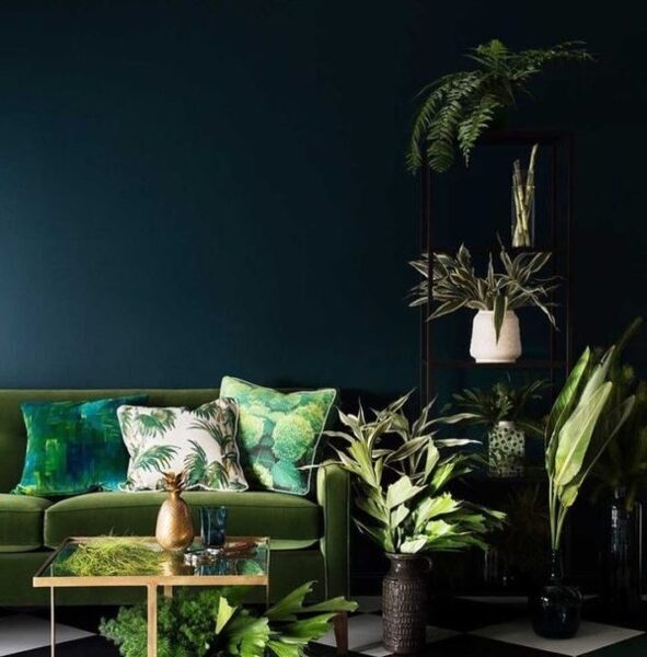 お片付け訪問サービス・オンラインサービスのご案内はこちらから