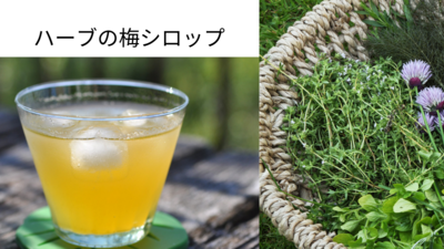 ＜無農薬の青梅摘みとり＞美味しすぎる！！割り青梅のカリカリはちみつ漬け＆ハーブ梅シロップ、炭火で炊く竹筒梅ごはん