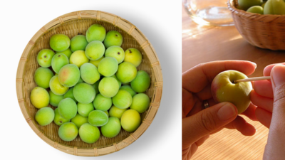 ＜無農薬の青梅摘みとり＞美味しすぎる！！割り青梅のカリカリはちみつ漬け＆ハーブ梅シロップ、炭火で炊く竹筒梅ごはん