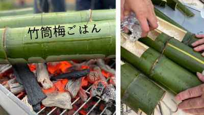 ＜無農薬の青梅摘みとり＞美味しすぎる！！割り青梅のカリカリはちみつ漬け＆ハーブ梅シロップ、炭火で炊く竹筒梅ごはん