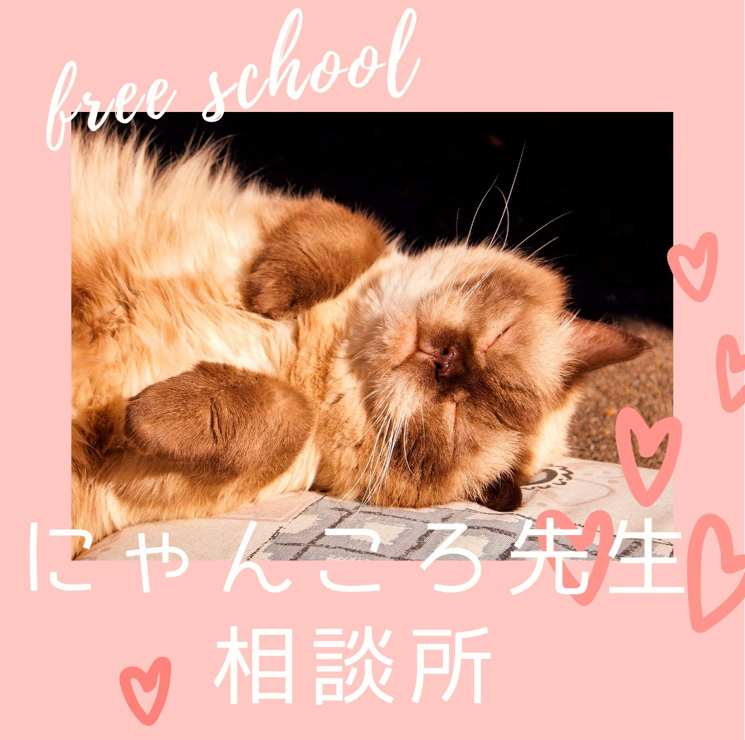 にゃんころ先生の相談所