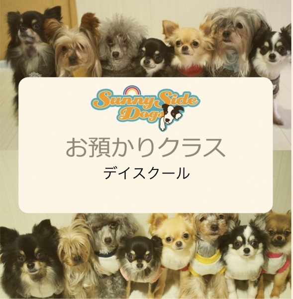 お預かりクラス (デイスクール)