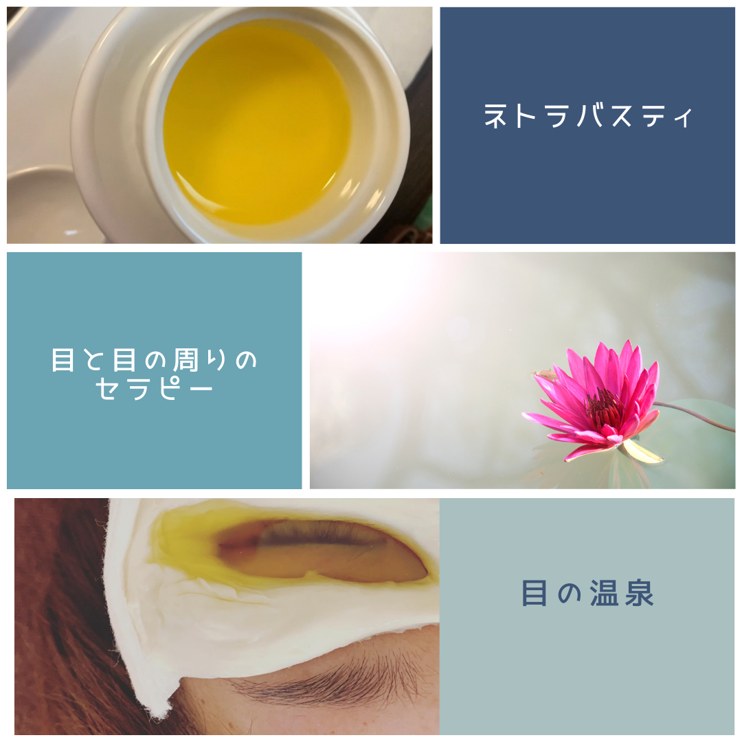 ネトラバスティ