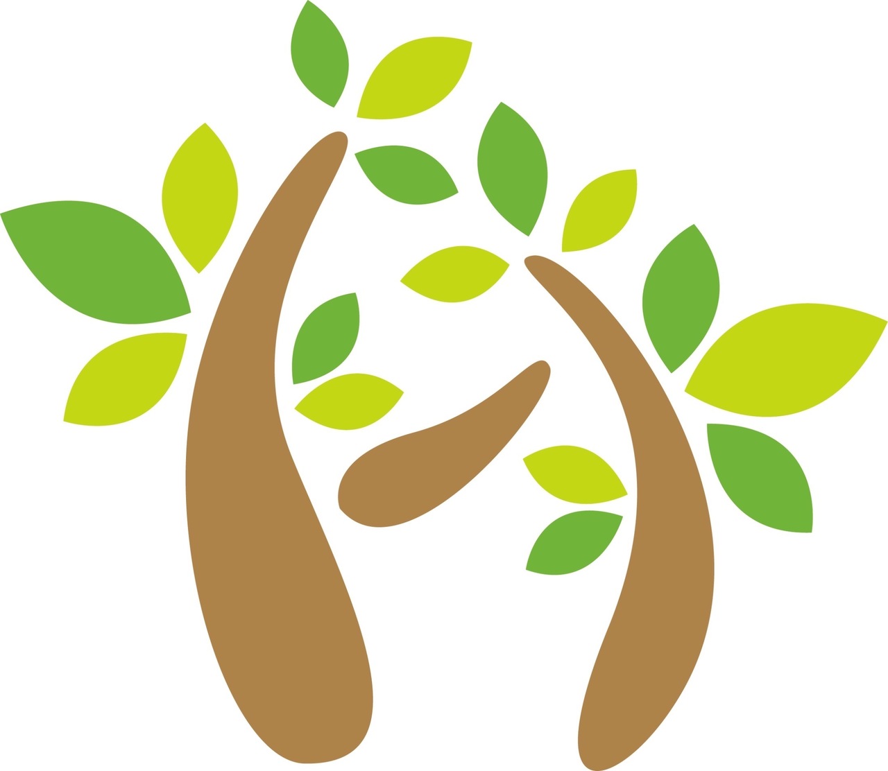 院長の施術予約