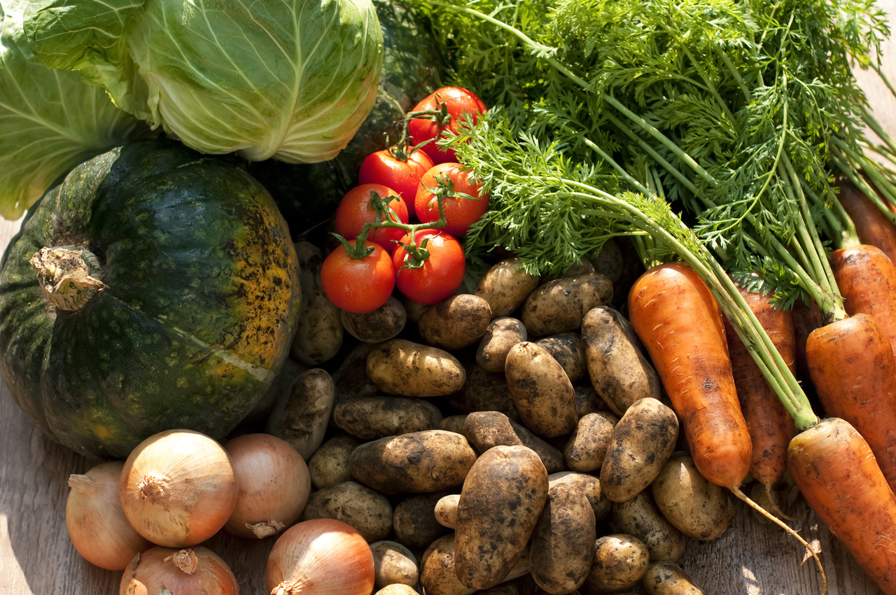 【TAKE OUT】野菜の詰め合わせセット