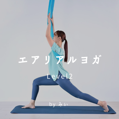 エアリアルヨガ　パープル エアリアルヨガ パープル エアリアルヨガ 布（色：パープル系