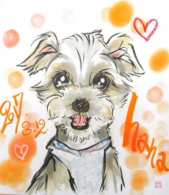 かもめ動物クリニック内覧会