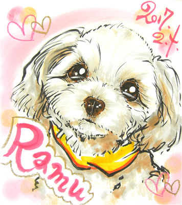 かもめ動物クリニック内覧会