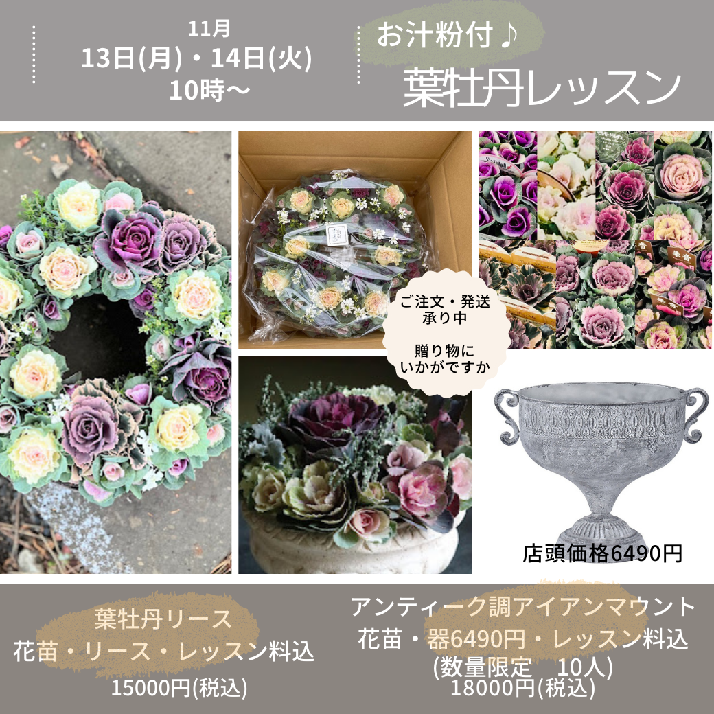 11月限定葉牡丹lesson