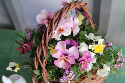 11月限定葉牡丹lesson